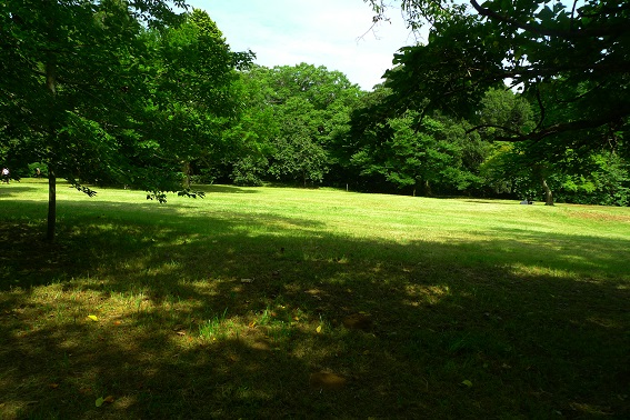f:id:hikada:20130721144832j:image f:id:hikada:20130721144832j:image