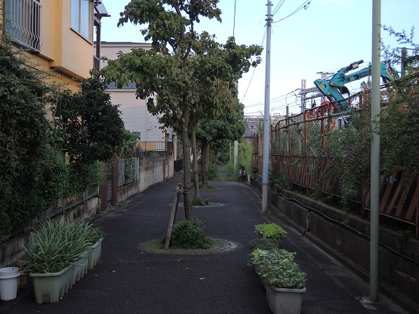 f:id:hikada:20150919164811j:image f:id:hikada:20150919164811j:image