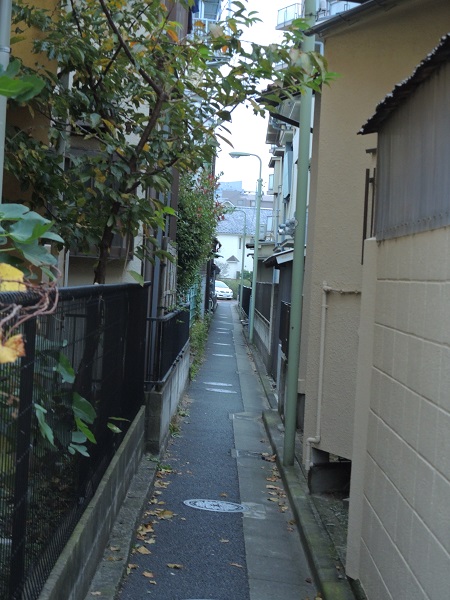 f:id:hikada:20151122161610j:image f:id:hikada:20151122161610j:image