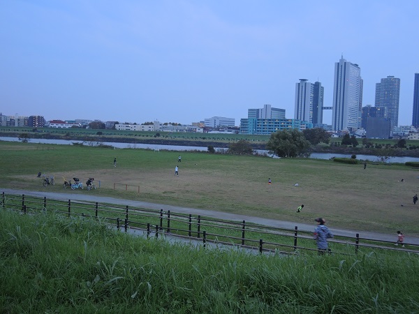 f:id:hikada:20151122162950j:image f:id:hikada:20151122162950j:image