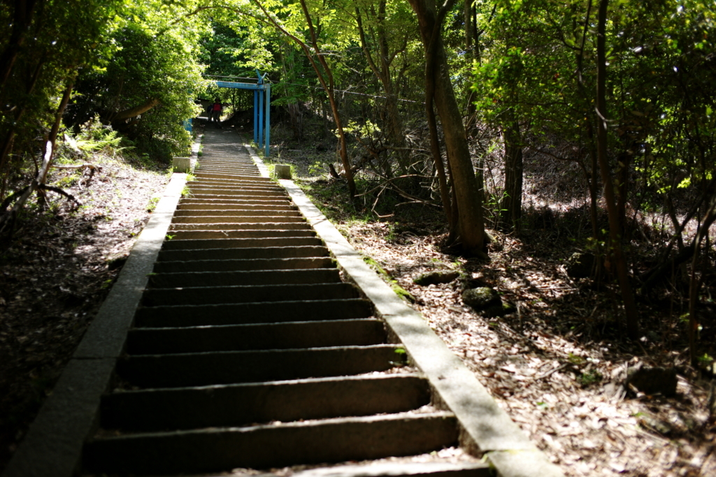 f:id:hikafka:20180520235851j:plain