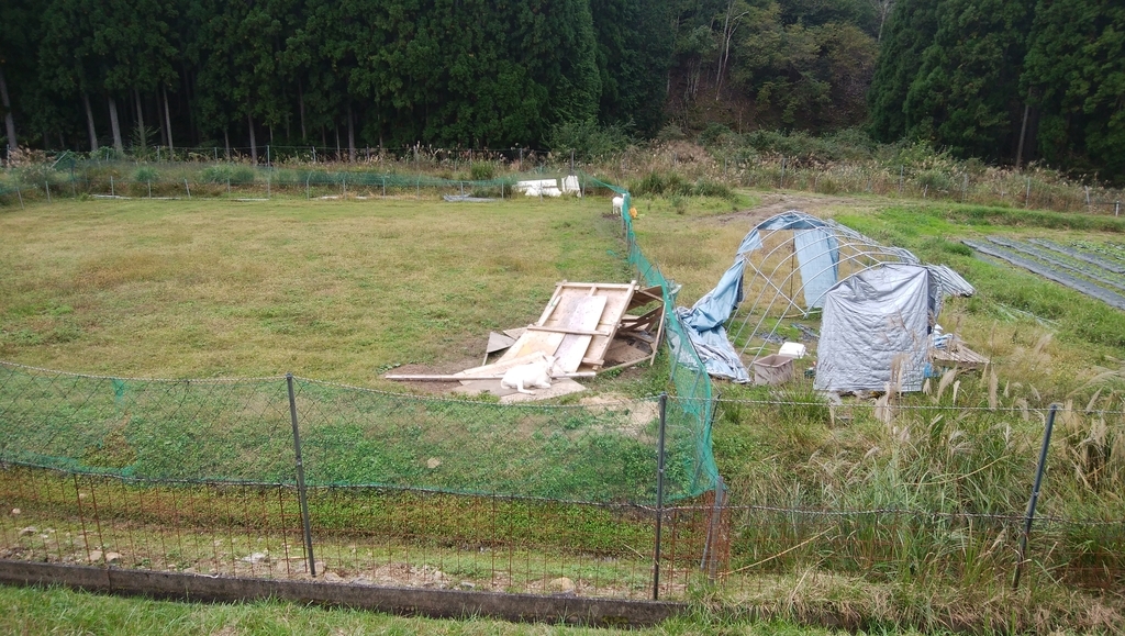 f:id:hikagelife:20181013141307j:plain f:id:hikagelife:20181013141307j:plain