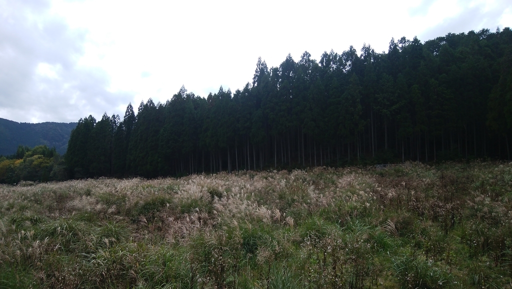 f:id:hikagelife:20181013141331j:plain f:id:hikagelife:20181013141331j:plain