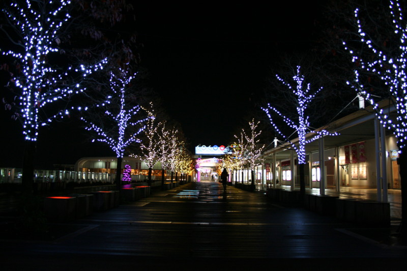 f:id:hikaku:20081125235354j:image
