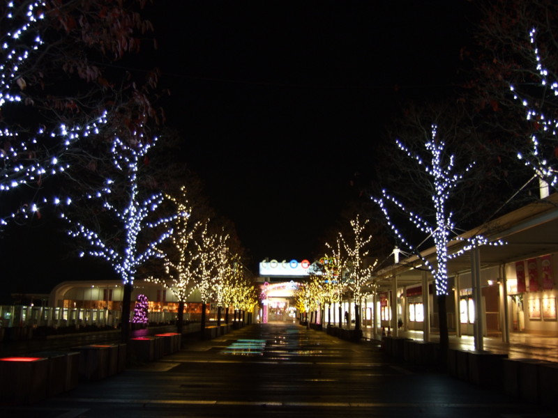 f:id:hikaku:20081125235400j:image