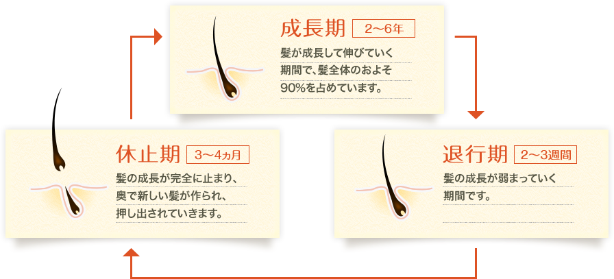 f:id:hikaptan:20200922060434p:image