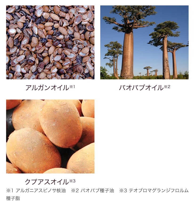 f:id:hikaptan:20200924100617j:plain