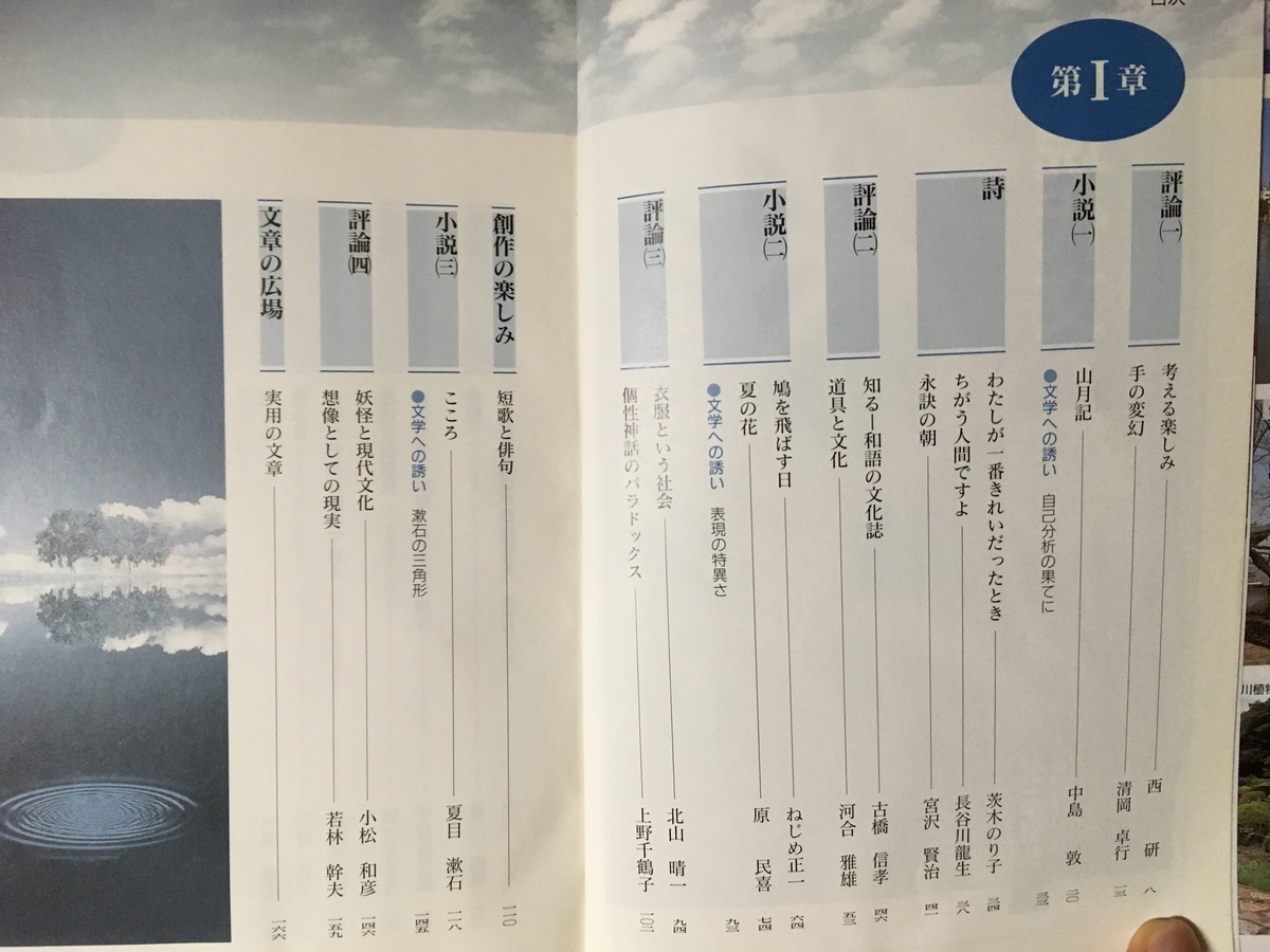 f:id:hikara_z:20190512214011j:plain f:id:hikara_z:20190512214011j:plain