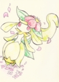 20120312142653