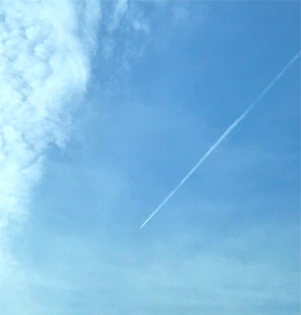 f:id:hikari17:20190302172922j:image