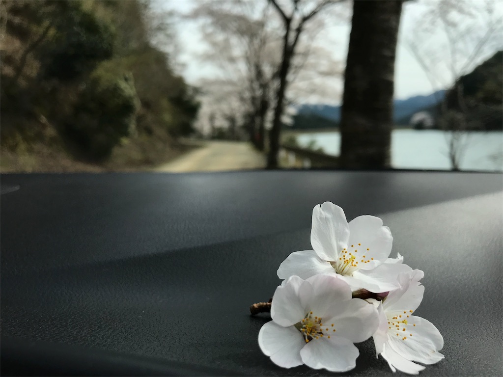 f:id:hikari17:20190413221912j:image