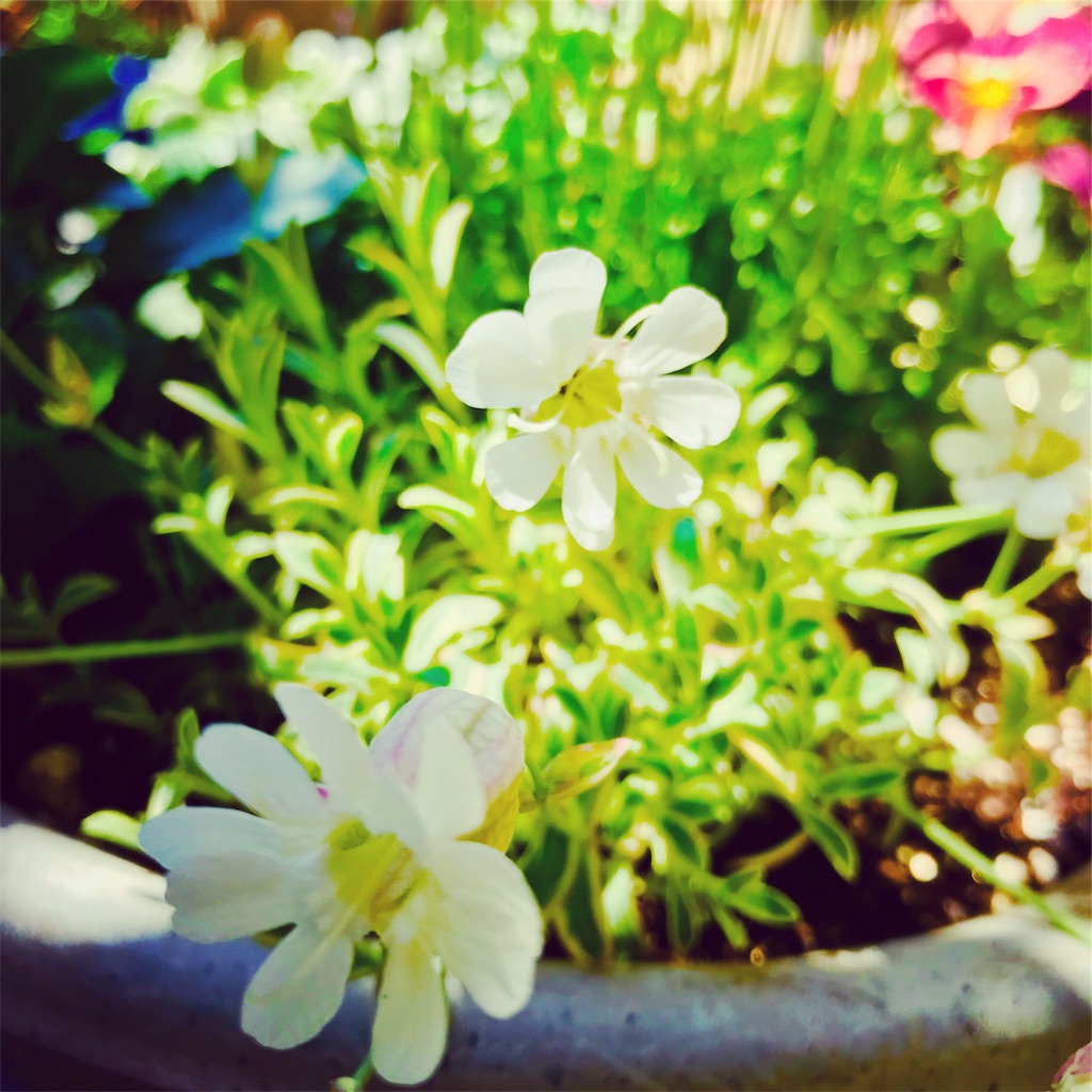 f:id:hikari17:20190429140711j:image