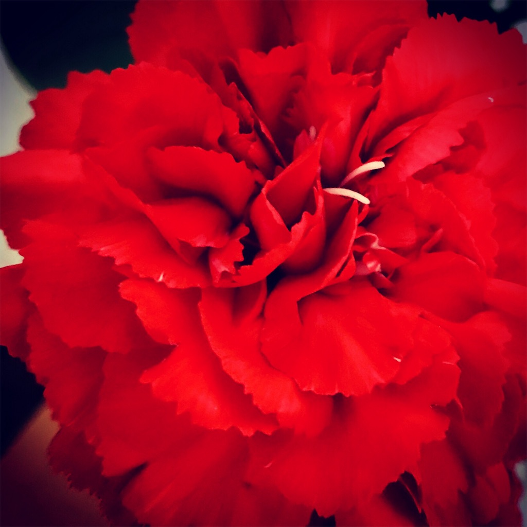 f:id:hikari17:20190514114834j:image