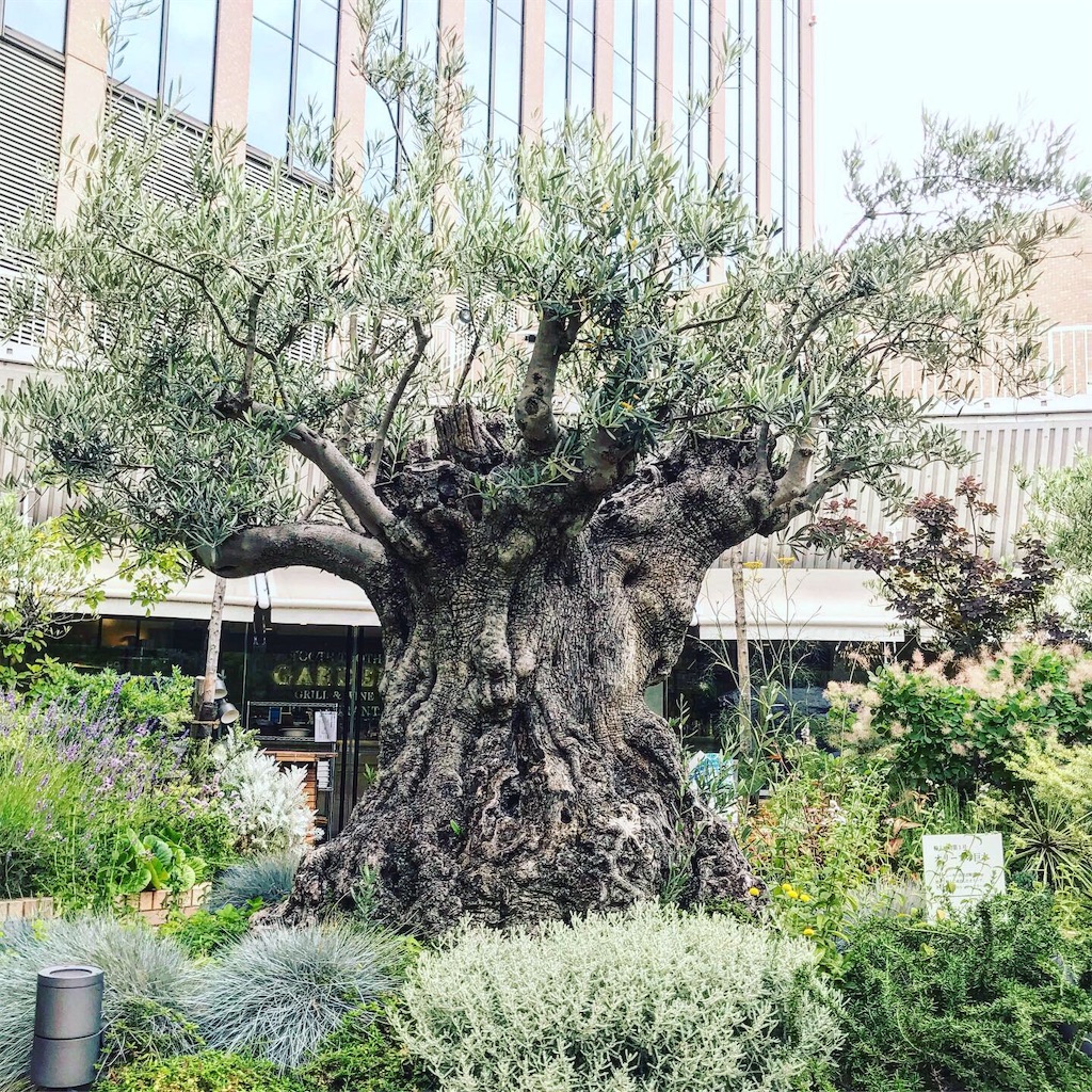 f:id:hikari17:20190615144938j:image f:id:hikari17:20190615144938j:image