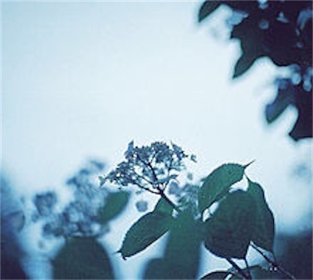 f:id:hikari17:20200502170435j:image