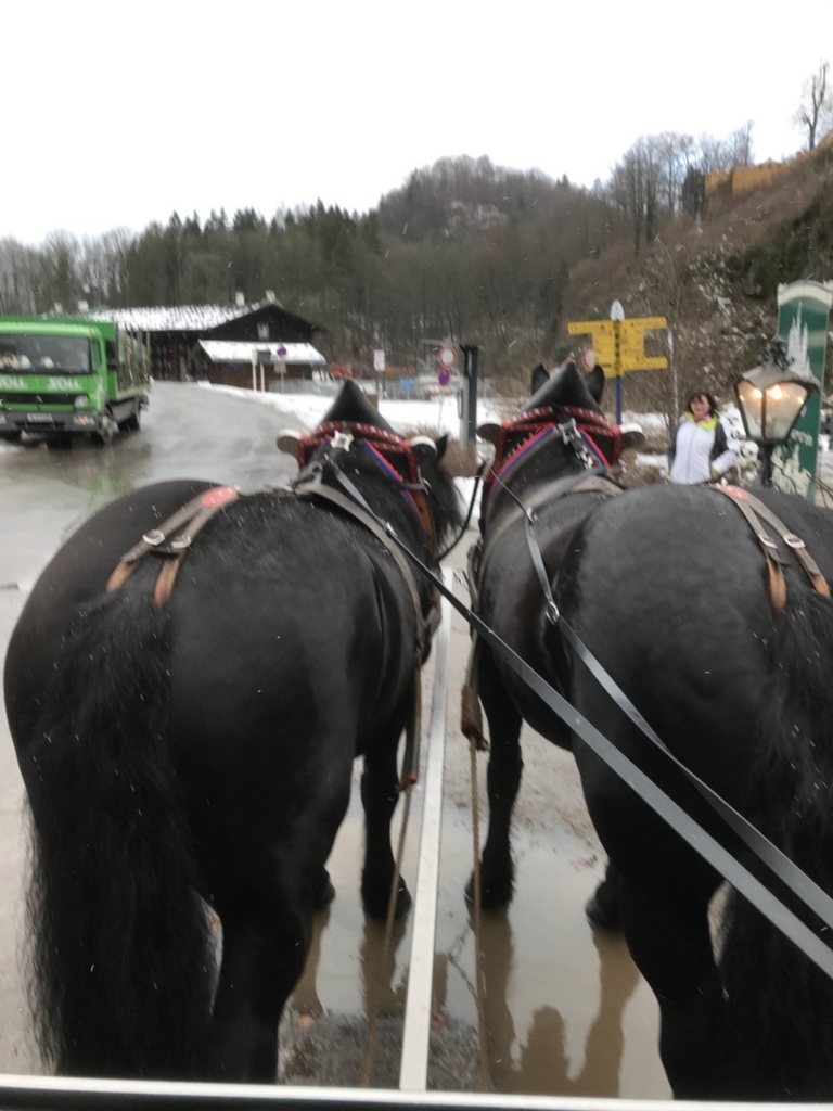 f:id:hikari__inc:20171228234147j:plain f:id:hikari__inc:20171228234147j:plain