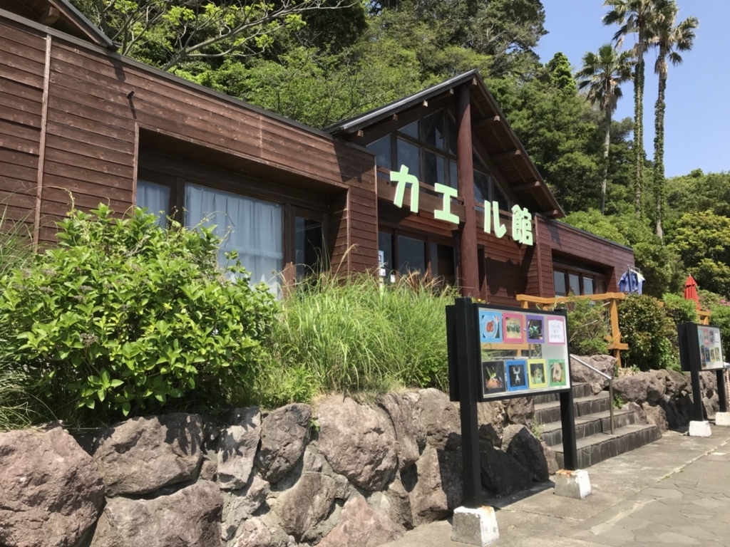 f:id:hikari__inc:20180508142018j:plain
