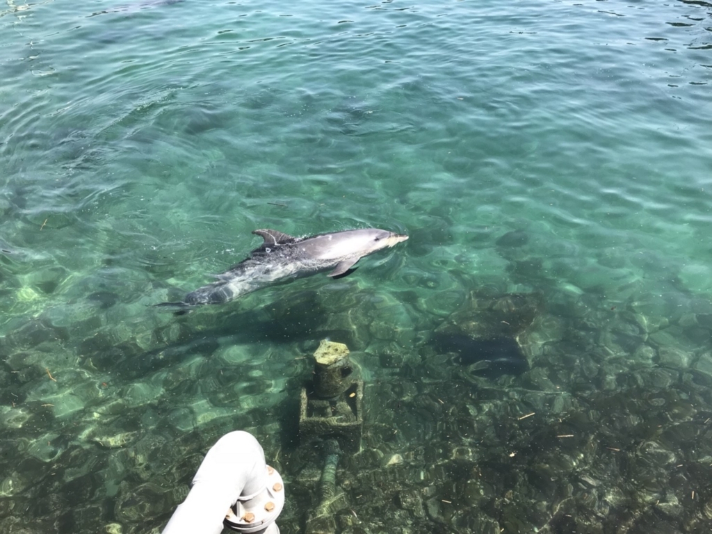 f:id:hikari__inc:20180508142657j:plain