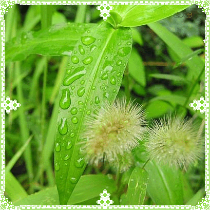 f:id:hikaricanopus3:20171014201458p:plain