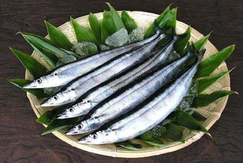 f:id:hikaricanopus3:20180830234236p:plain