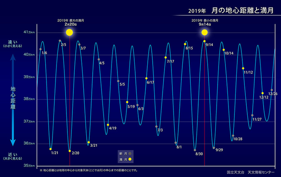 f:id:hikaricanopus3:20190125234635p:plain f:id:hikaricanopus3:20190125234635p:plain