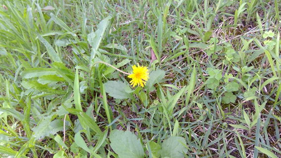 f:id:hikaricanopus3:20190808005754p:plain f:id:hikaricanopus3:20190808005754p:plain