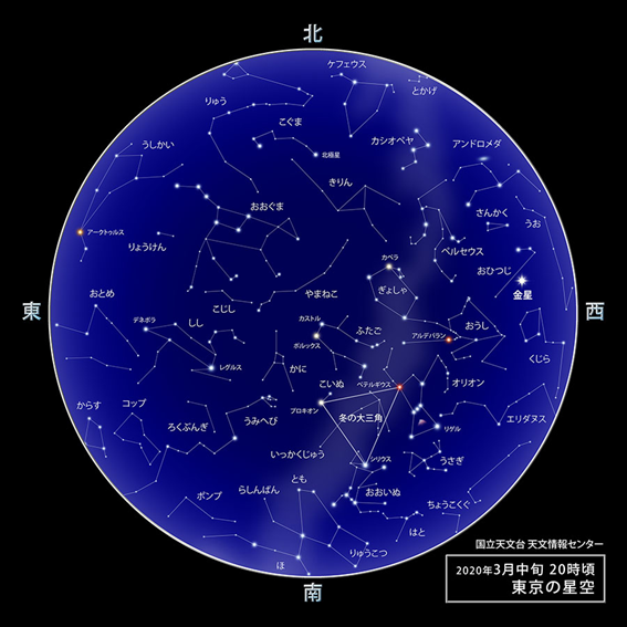 f:id:hikaricanopus3:20200220224616p:plain f:id:hikaricanopus3:20200220224616p:plain