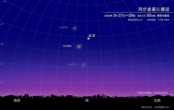 f:id:hikaricanopus3:20200220224737p:plain f:id:hikaricanopus3:20200220224737p:plain
