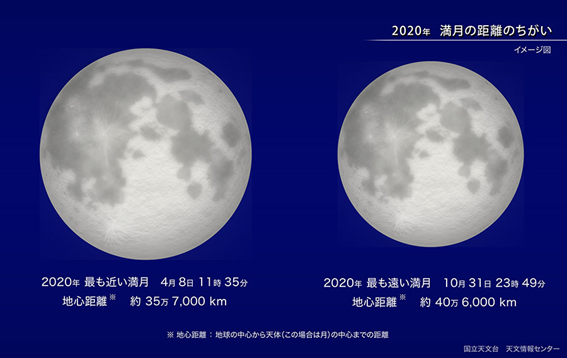 f:id:hikaricanopus3:20200415231921p:plain f:id:hikaricanopus3:20200415231921p:plain