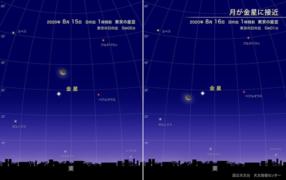 f:id:hikaricanopus3:20200722234104p:plain