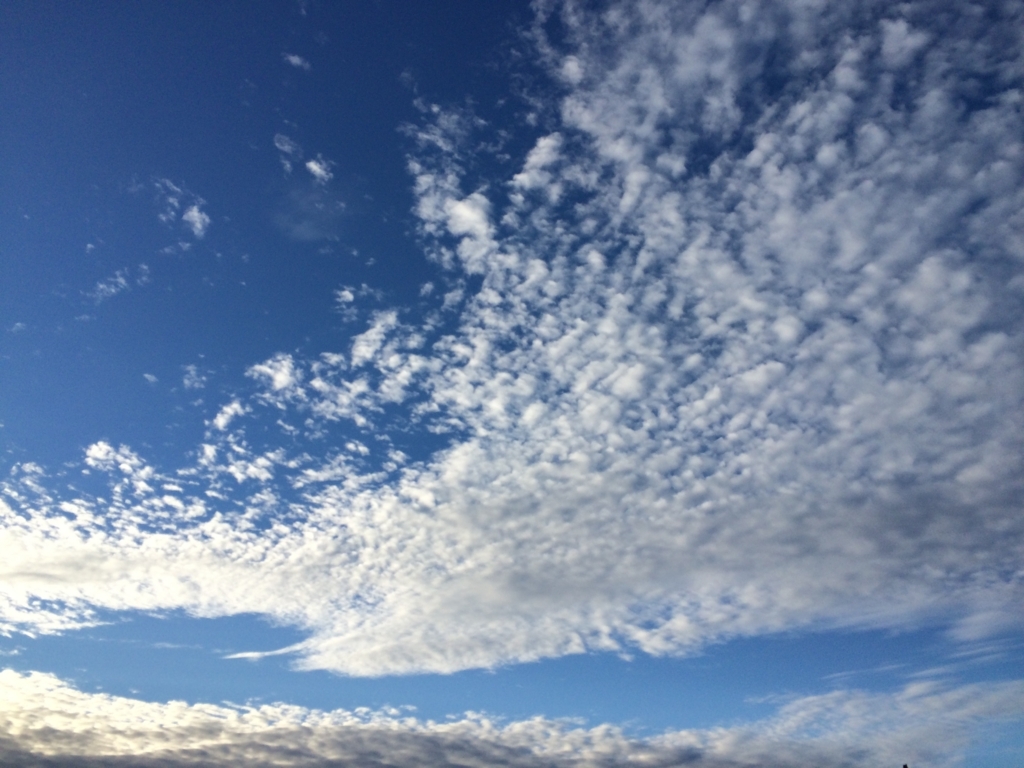 f:id:hikaringo39:20180415222147j:plain