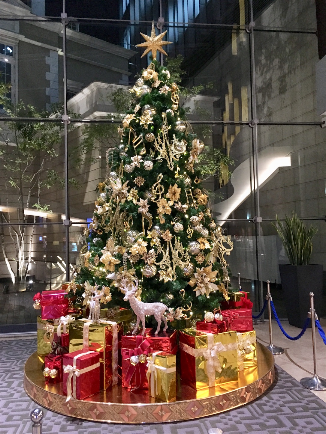 f:id:hikarinote:20181115124538j:image f:id:hikarinote:20181115124538j:image