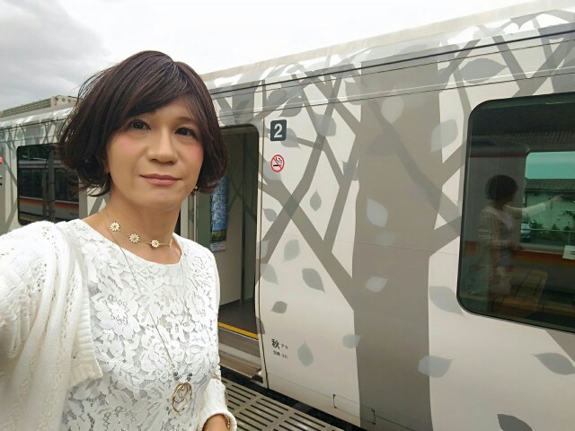 f:id:hikarireinagatsuki:20190624010504j:image f:id:hikarireinagatsuki:20190624010504j:image