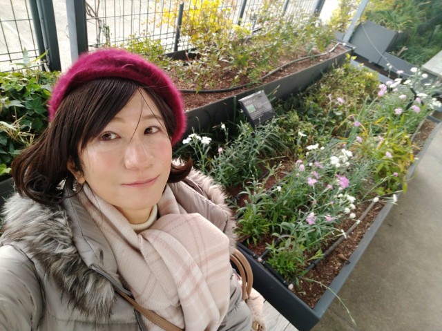 f:id:hikarireinagatsuki:20210101132624j:image f:id:hikarireinagatsuki:20210101132624j:image