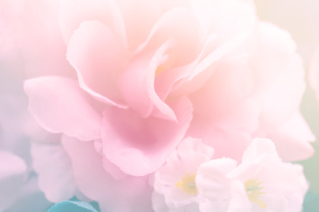 f:id:hikariuta:20210102033121j:plain:w300