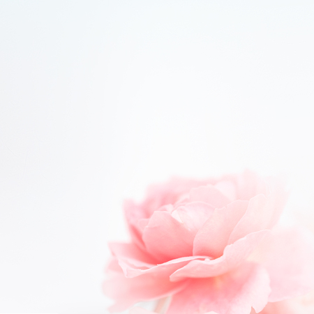 f:id:hikariuta:20210102033318j:plain:w300