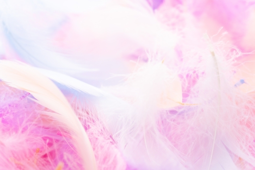 f:id:hikariuta:20210103175009j:plain:w300