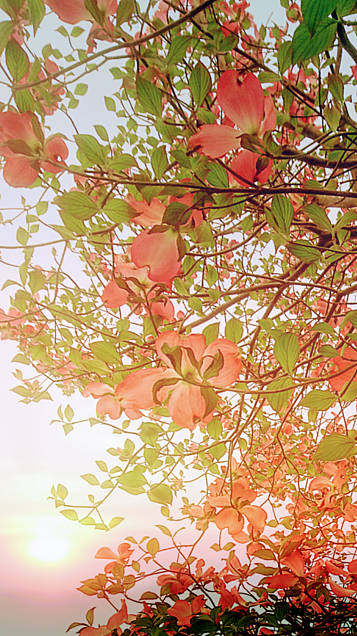 f:id:hikariuta:20210121160844p:plain:w300