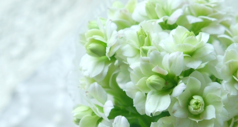 f:id:hikariuta:20210130181457p:plain:w300