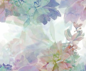 f:id:hikariuta:20210131212447j:plain