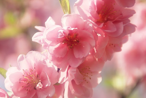 f:id:hikariuta:20210208193031j:plain