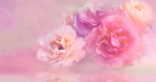 f:id:hikariuta:20210213061820p:plain