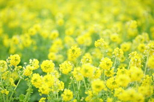 f:id:hikariuta:20210225052407j:plain:w300