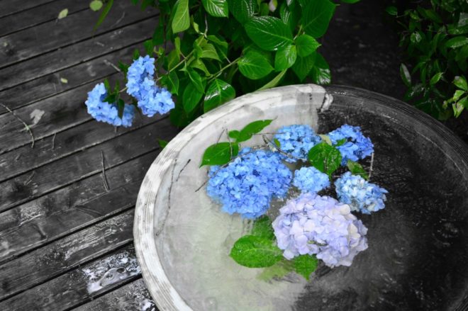 f:id:hikariuta:20210515062339j:plain