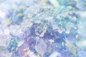 f:id:hikariuta:20210515062953j:plain