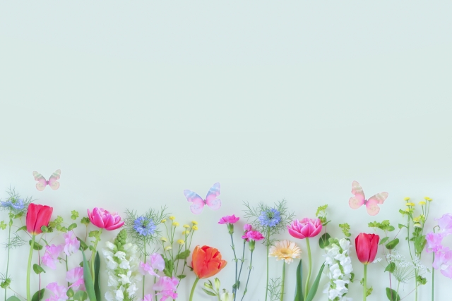 f:id:hikaru-ko:20200429093718j:plain