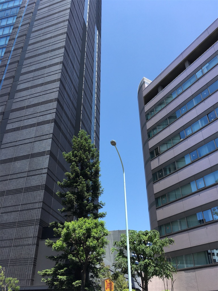 f:id:hikaru217:20200517192551j:image