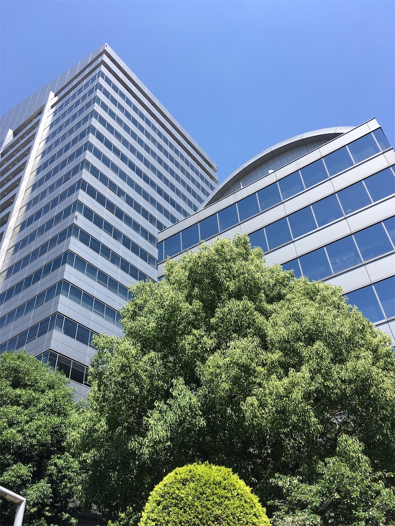 f:id:hikaru217:20200517192554j:image