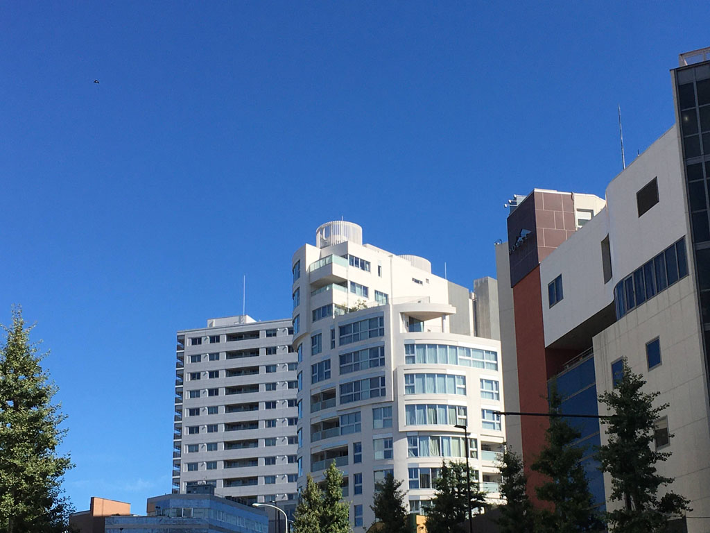 f:id:hikaru217:20200913125945j:plain