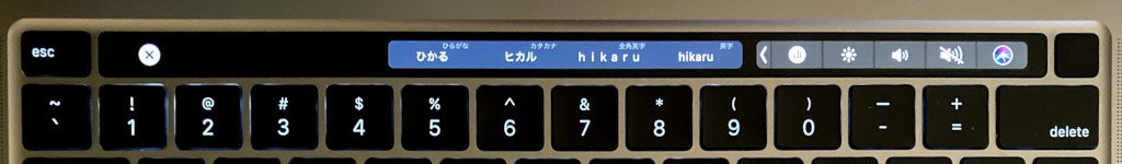 f:id:hikaru217:20210313135701j:plain